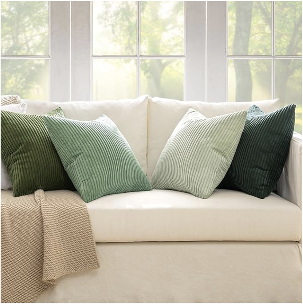 Decorative Throw Pillows