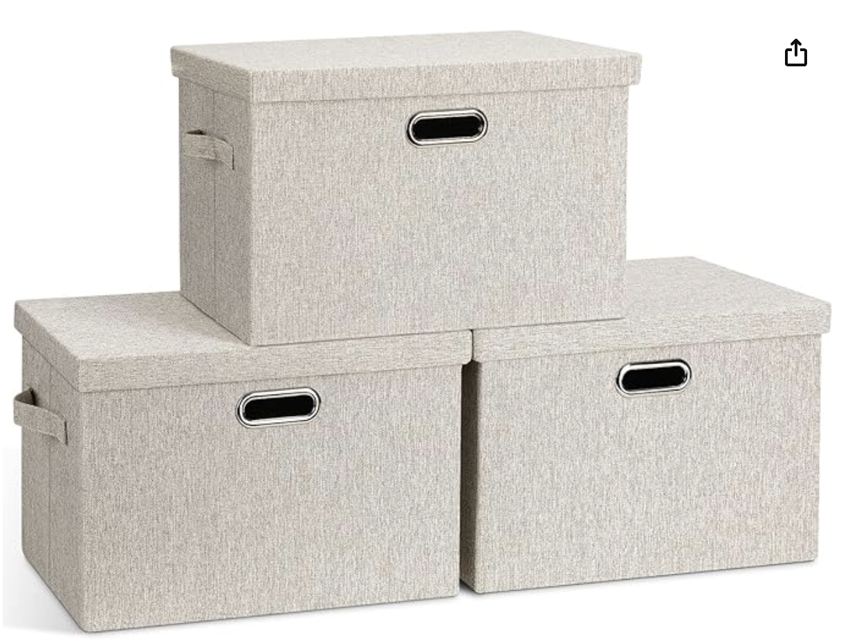 Closet Storage Boxes with Lids