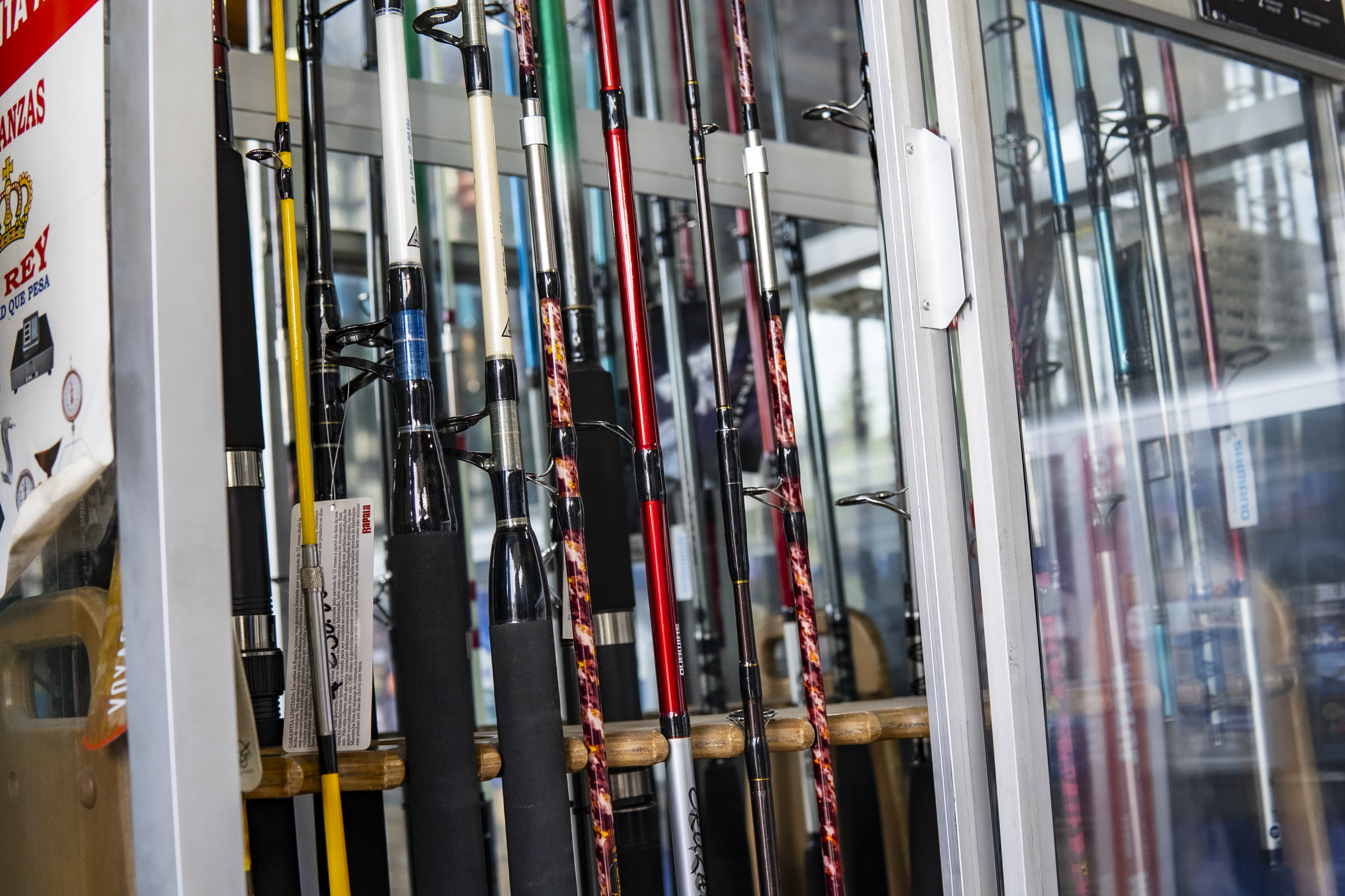 Cañas de pescar 