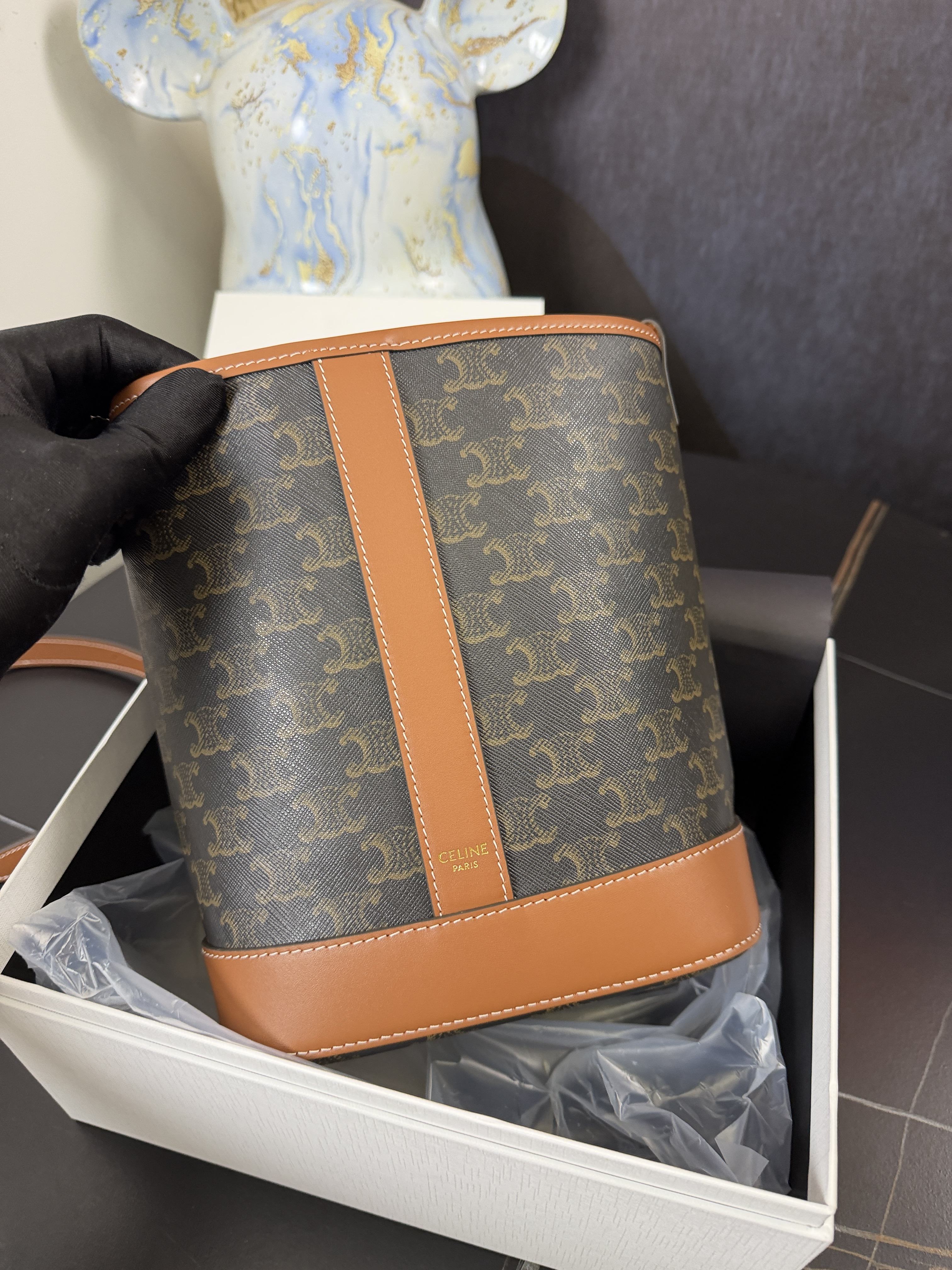 Celine Small Triomphe Canvas