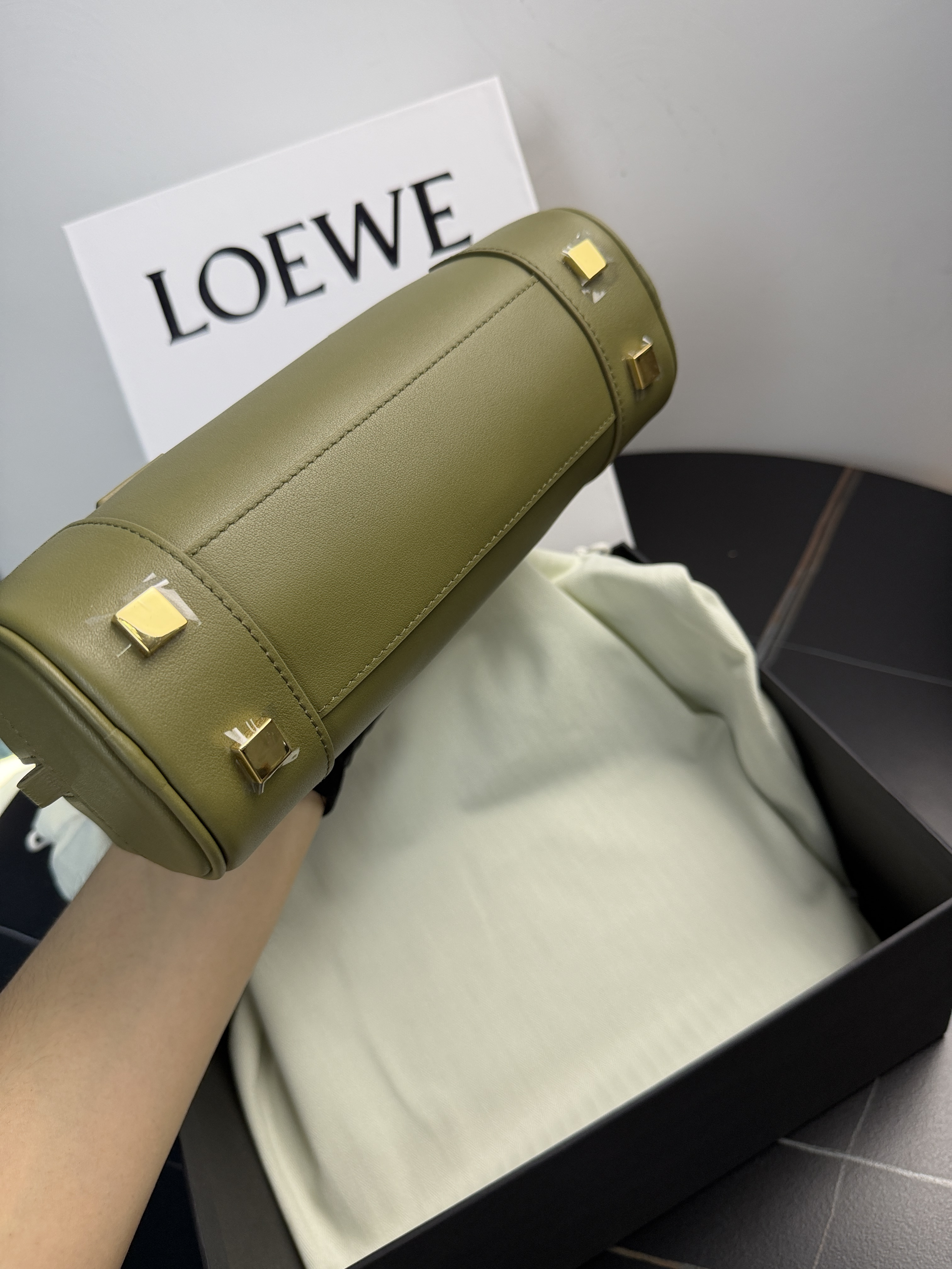 Loewe Amazona 23 Bag in a green color