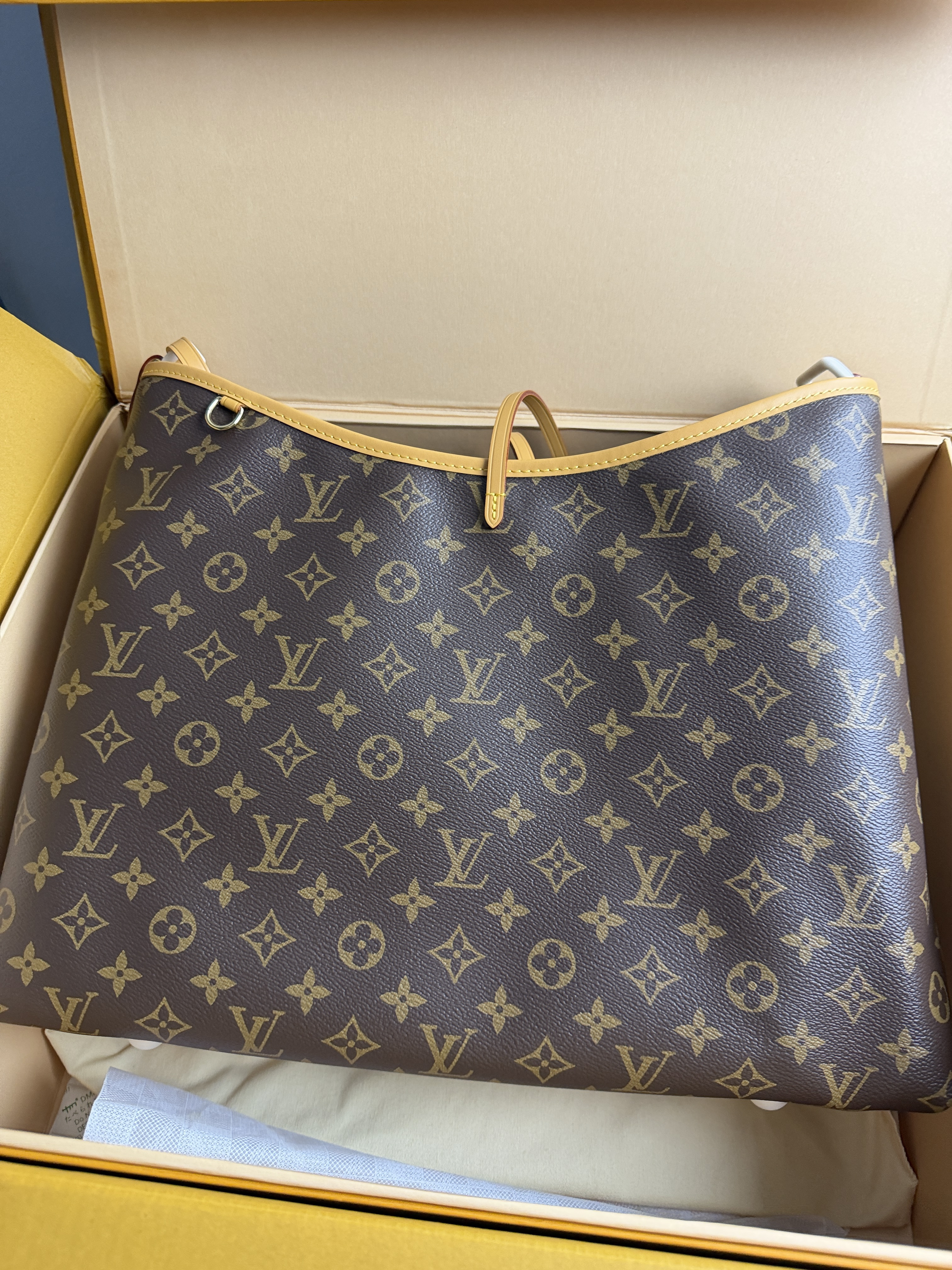 LV CarryAll BB Medium