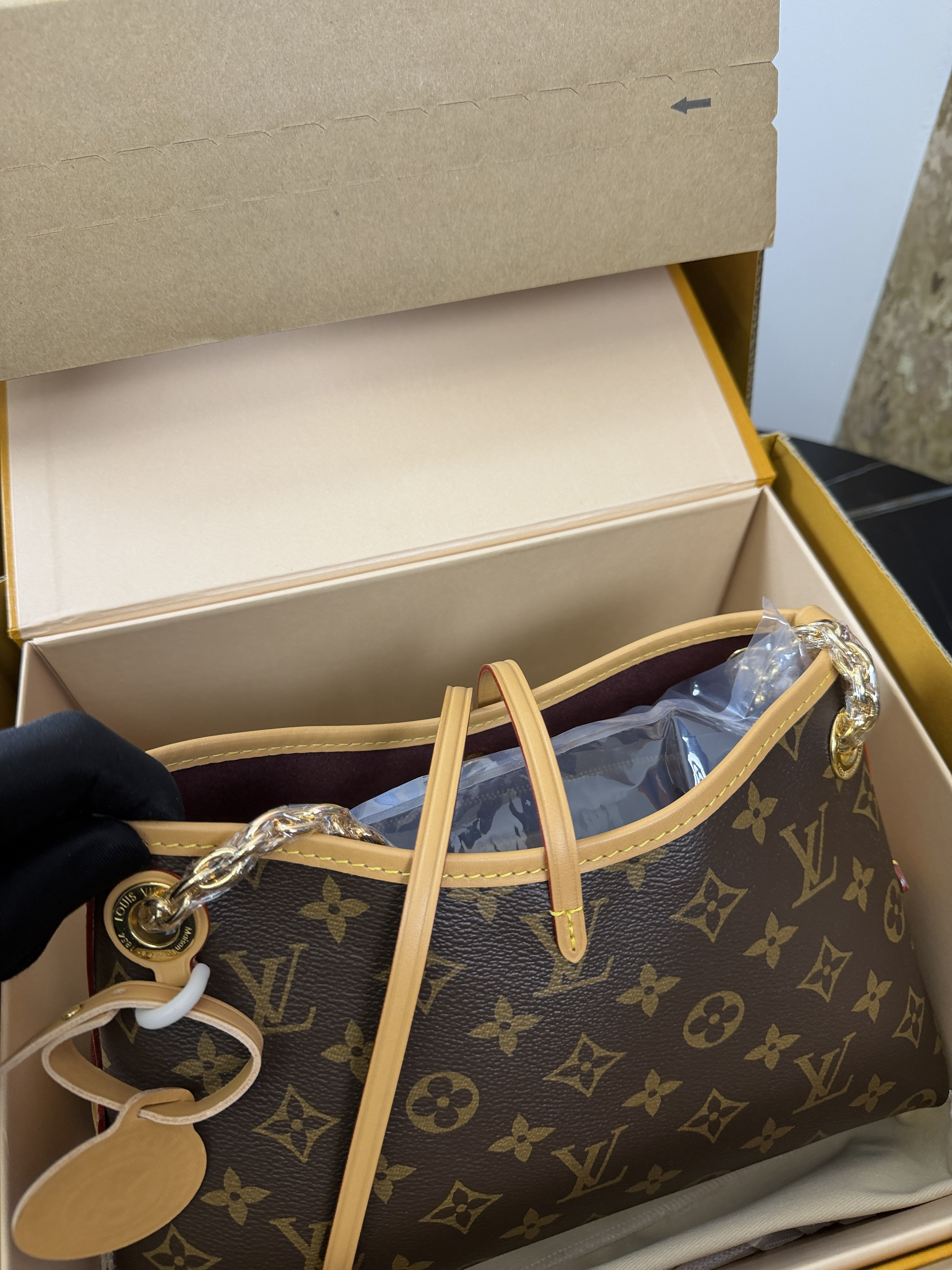 LV CarryAll BB Mini