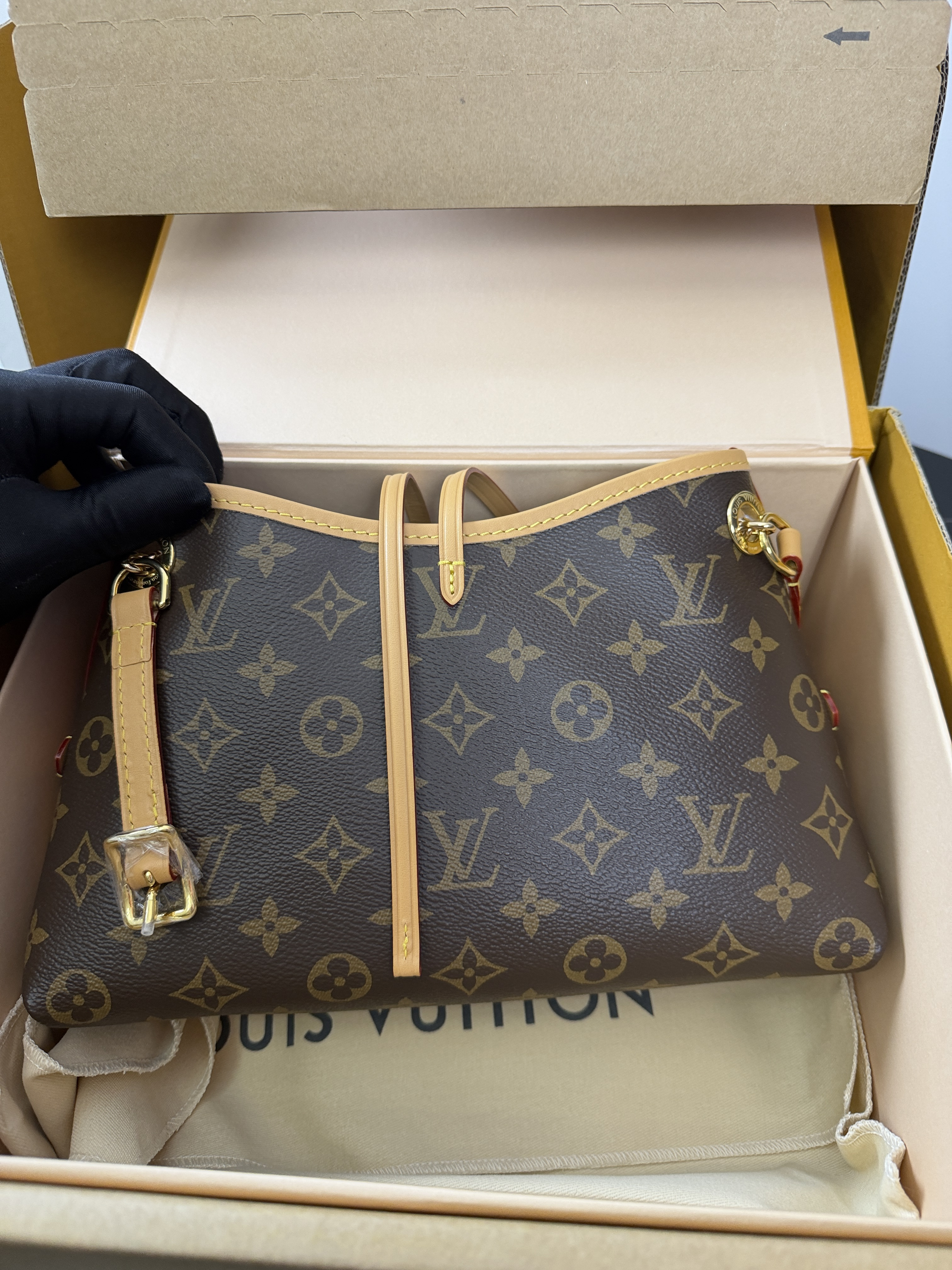 LV CarryAll BB Mini
