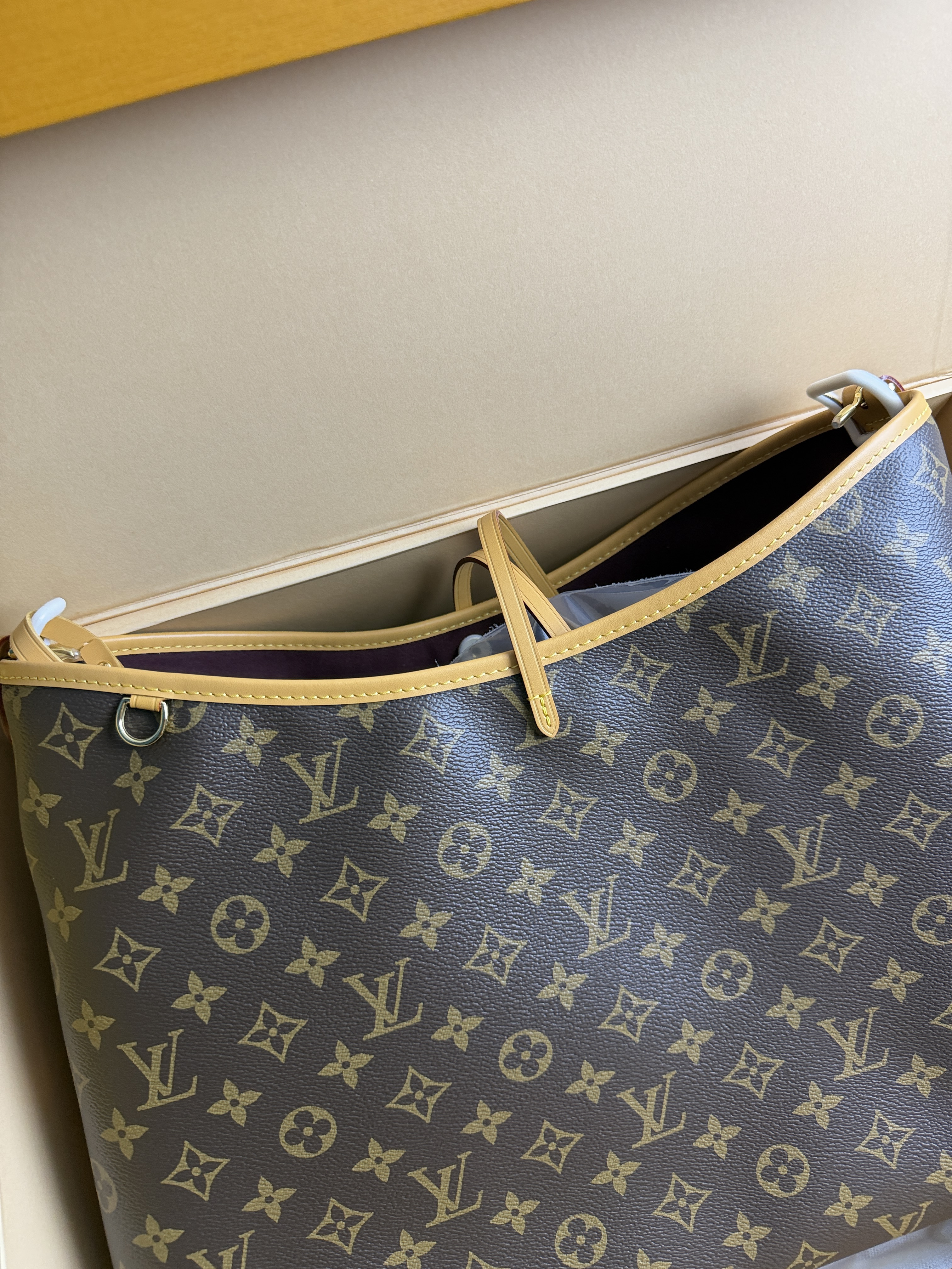 LV CarryAll BB Medium