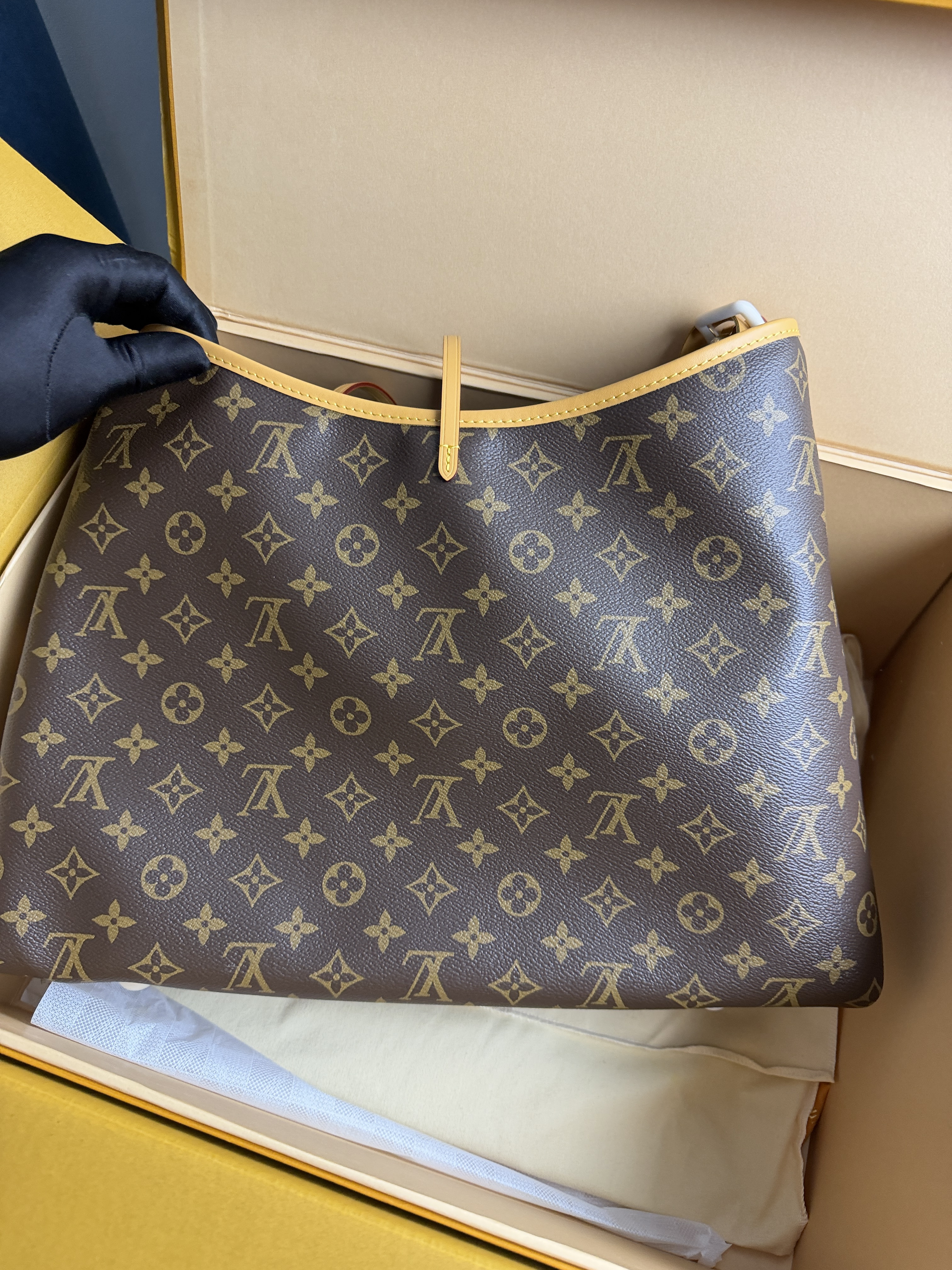 LV CarryAll BB Medium