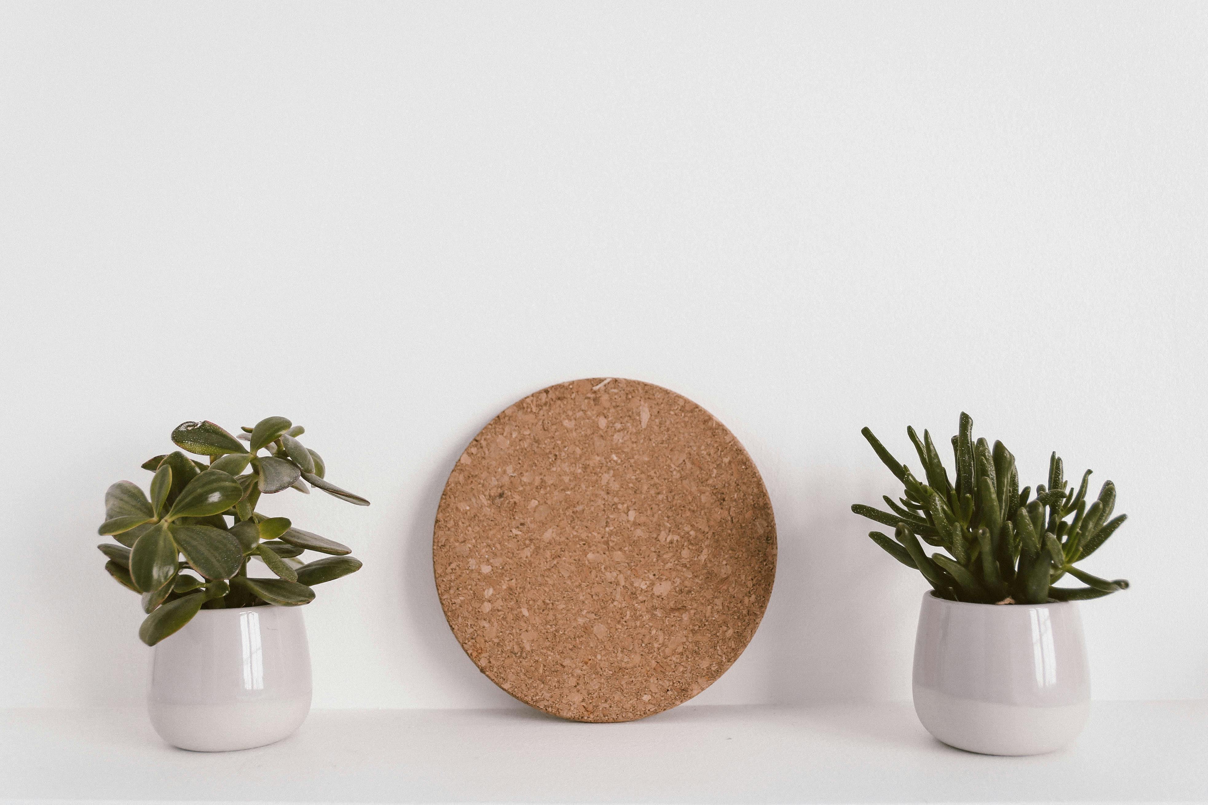 1-Hour Mindfulness Session on 1:1