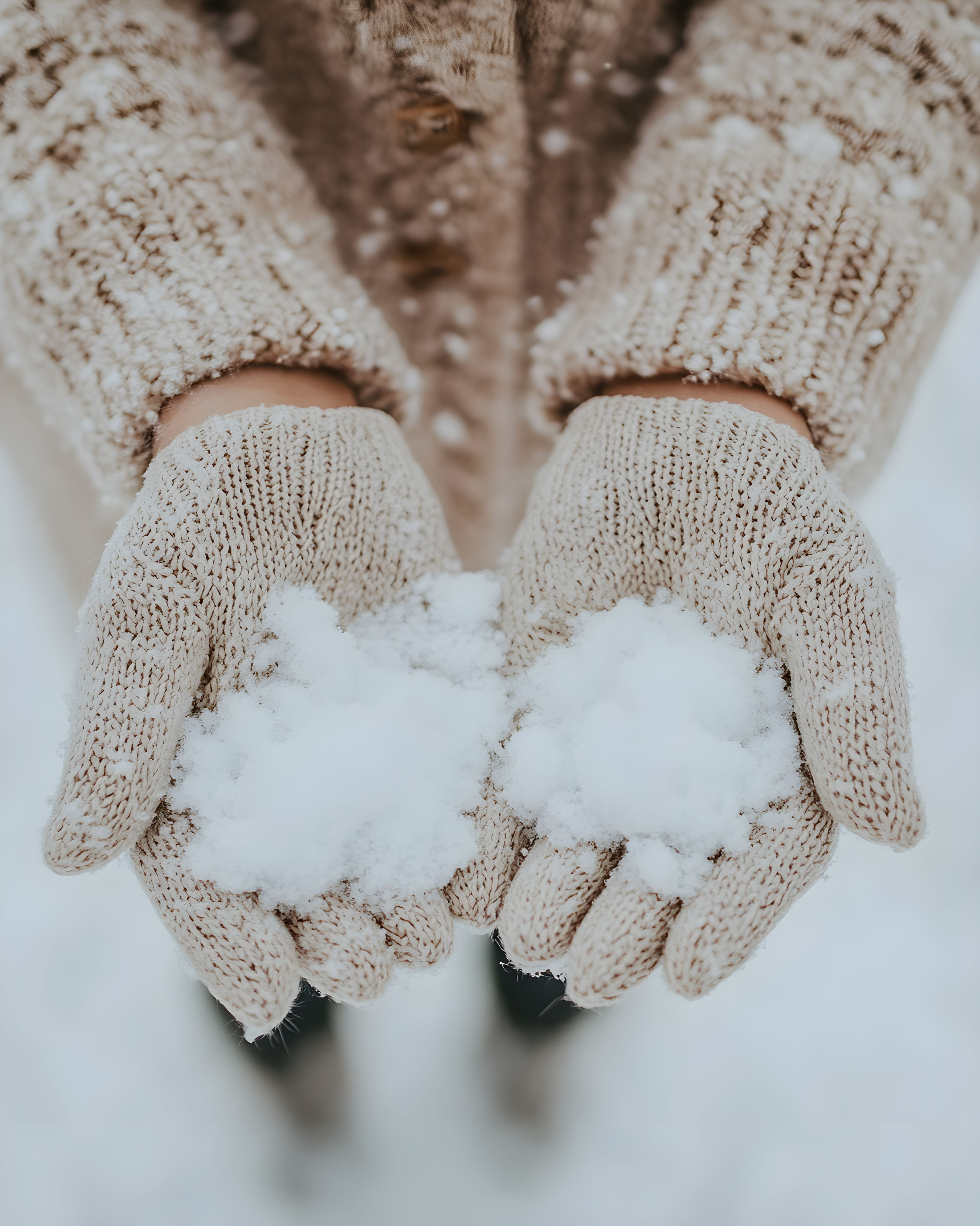 Cozy Christmas Photos - Parte 1