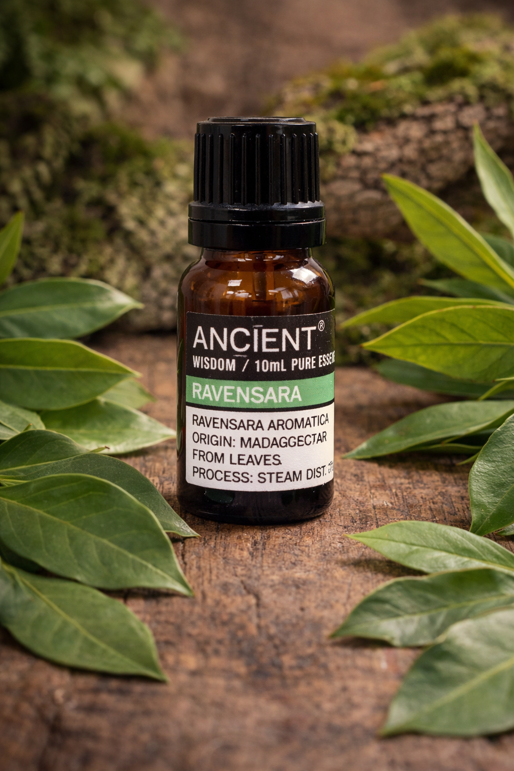 Huile essentielle de Ravensara