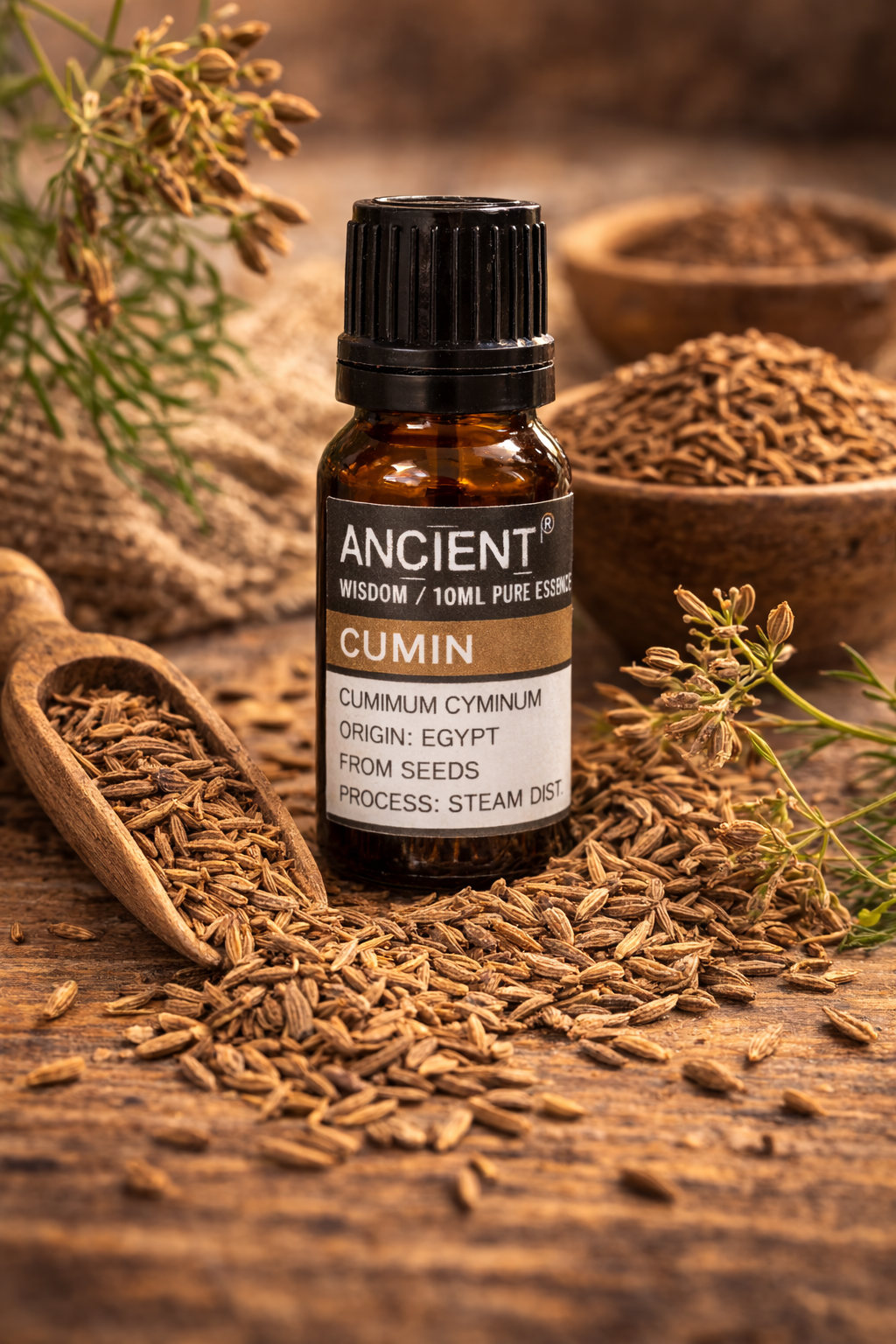 Huile essentielle des Graines de  Cumin