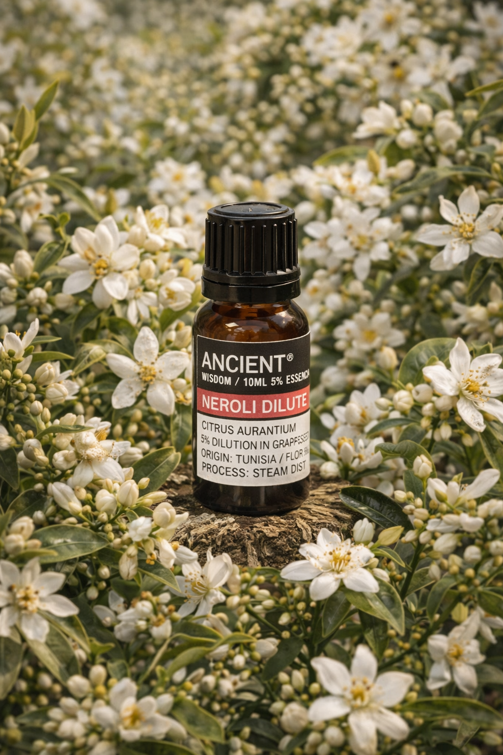 Huile essentielle de Néroli diluée