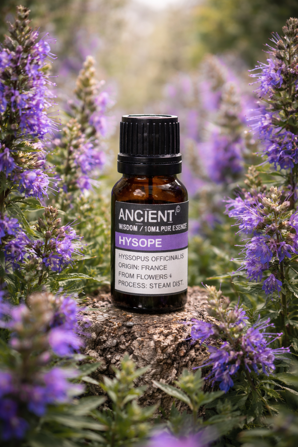 Huile Essentielle d'Hysope