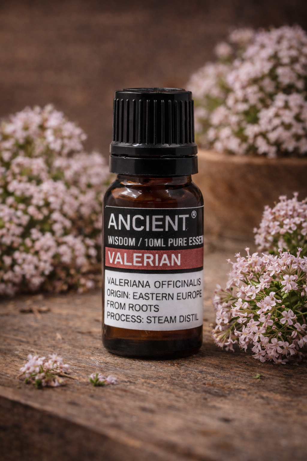 Huile essentielle de Valériane