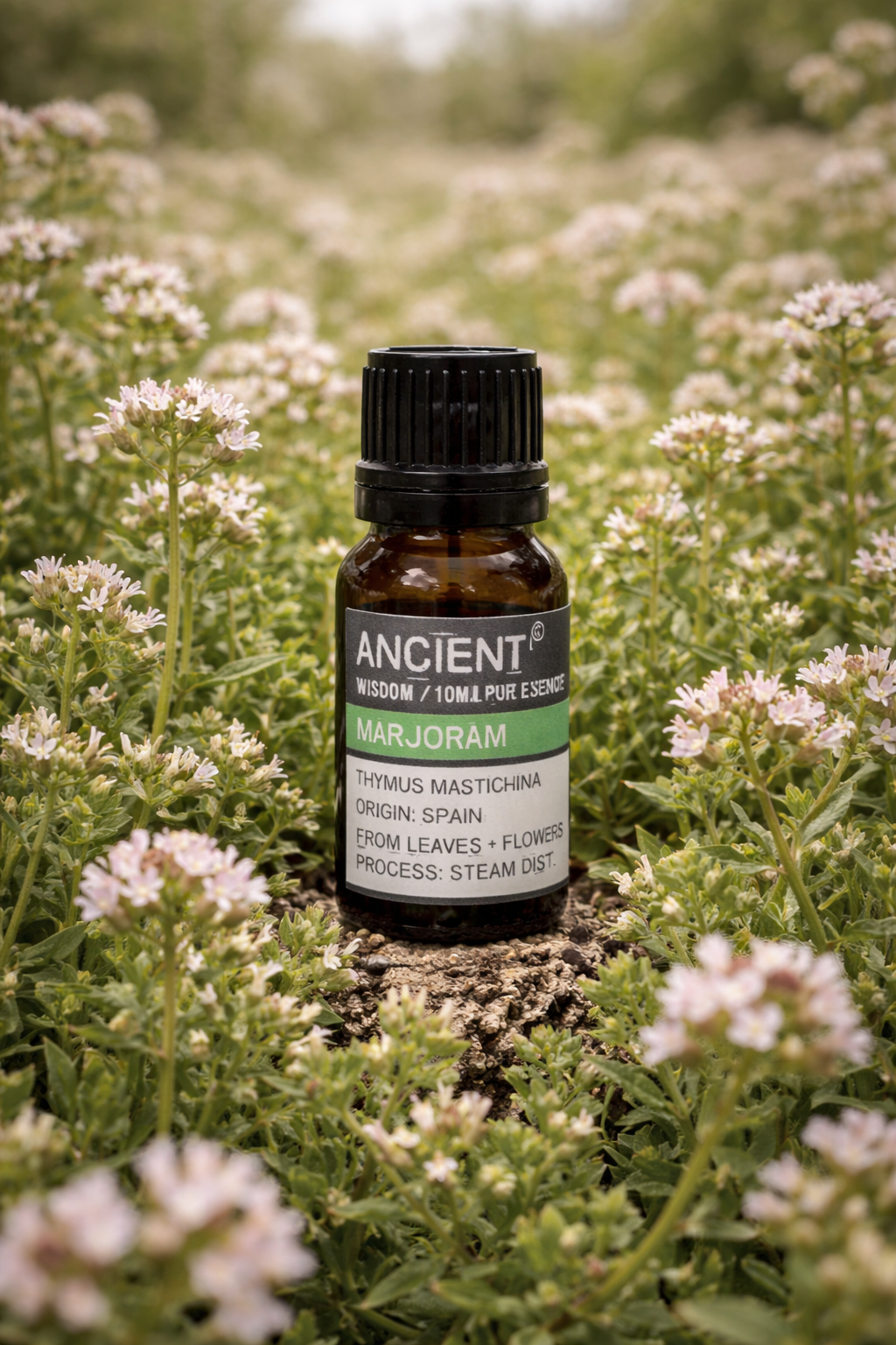 Huile essentielle de Marjolaine d'Espagne