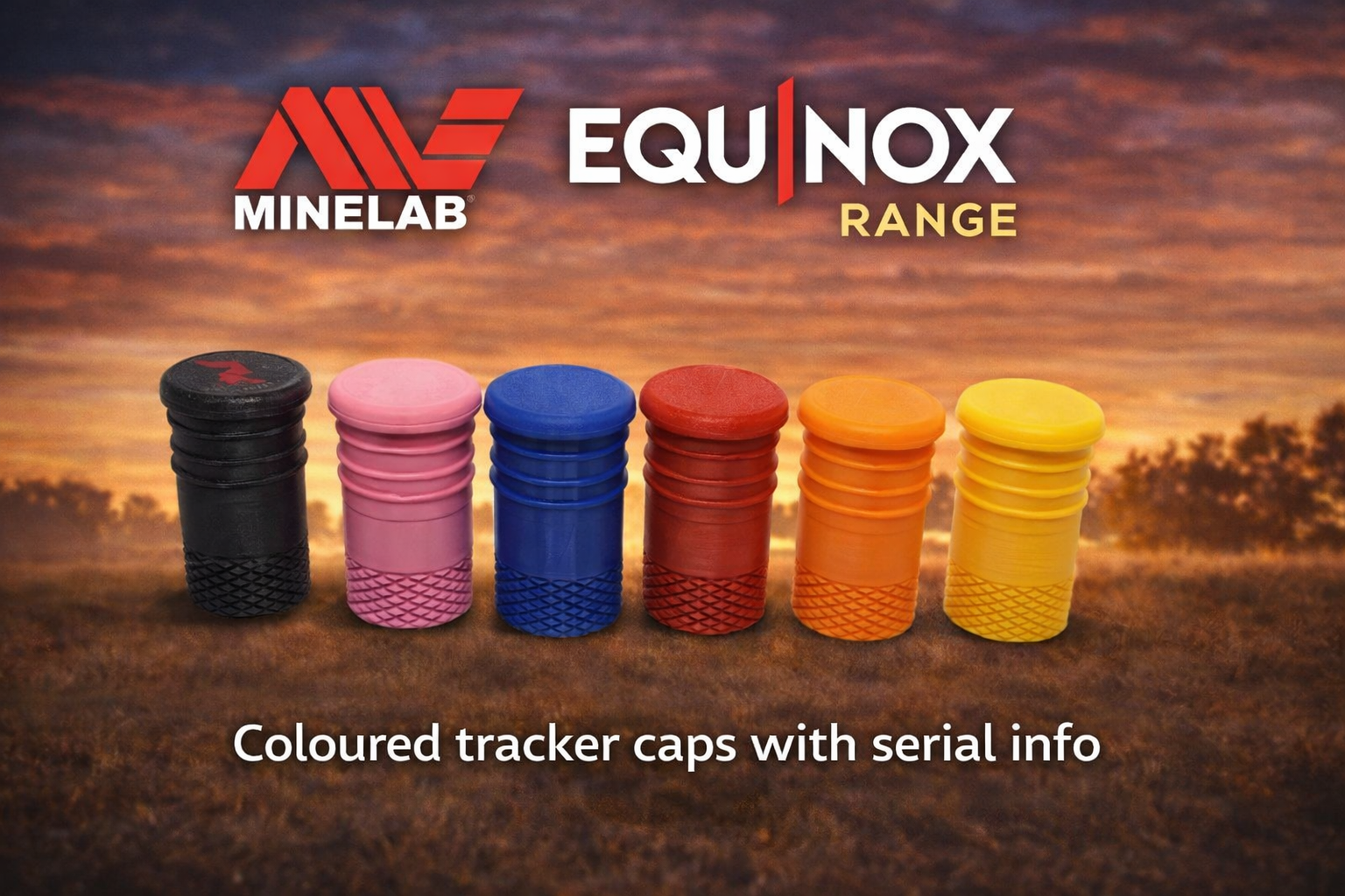 DetectSecure ID – Hidden Metal Detector Recovery Tracker