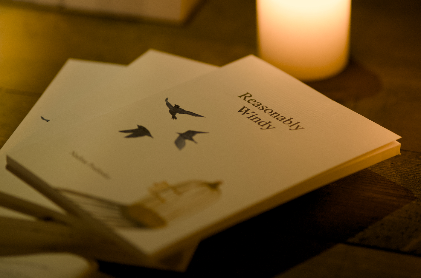 "Reasonably Windy" Poetry Book 