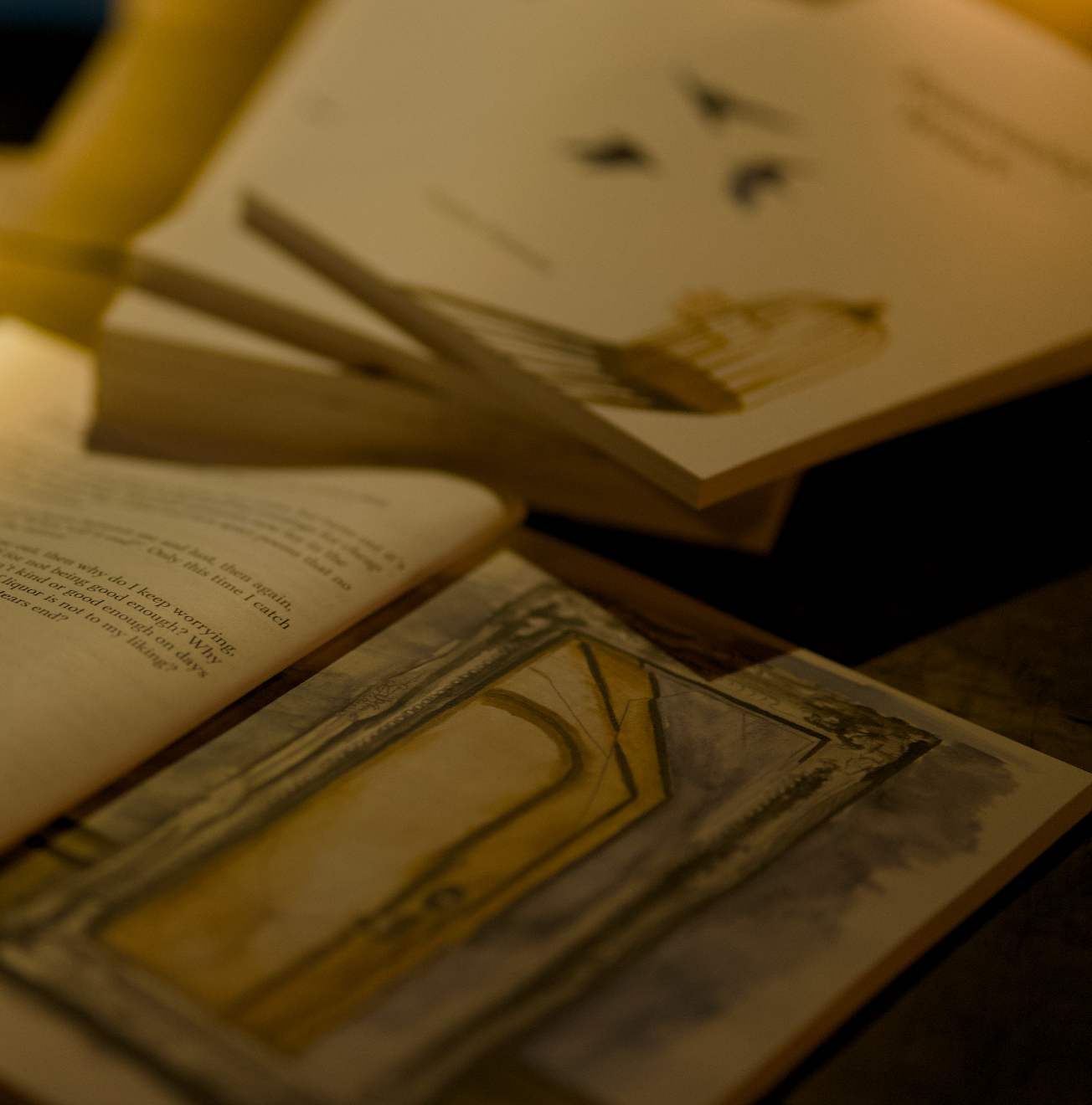 "Reasonably Windy" Poetry Book 