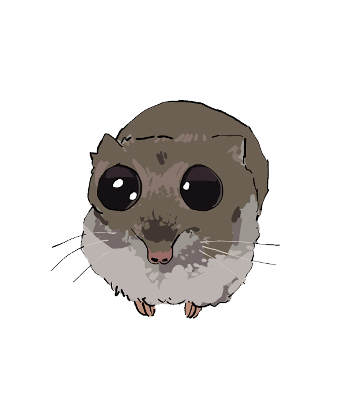 Hamster