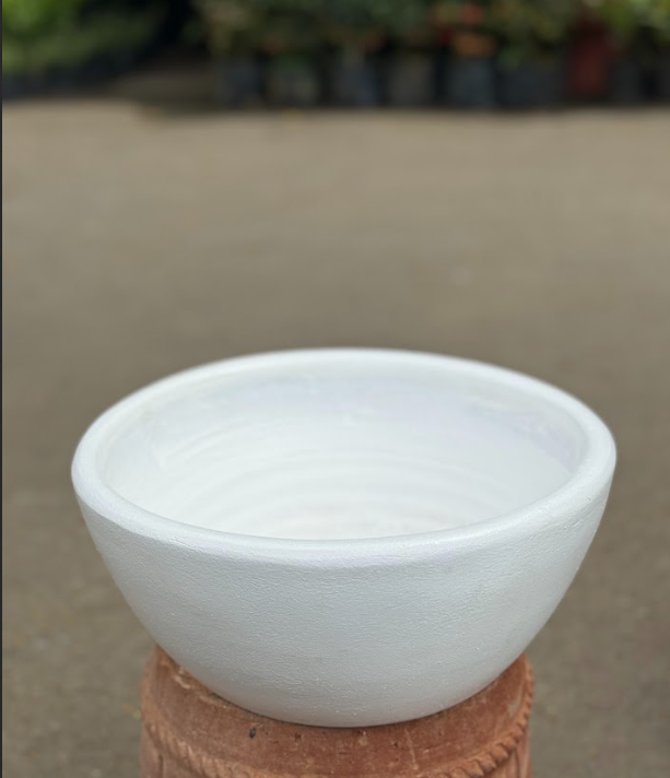 Egg shape Dish White  