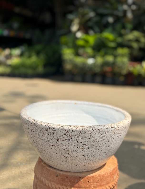 Egg shape Dish Polka 