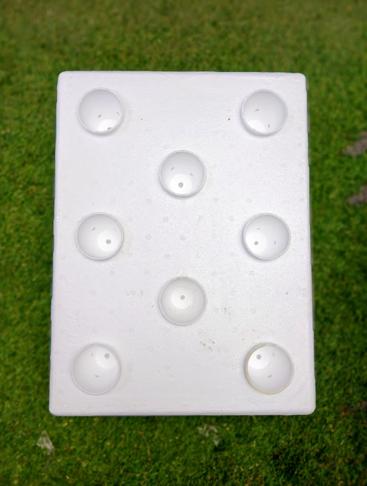 Hydroponic Plant Grow Box