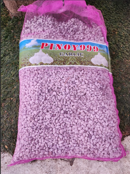 Pumice Stone for Succulents and Ornamental Plants