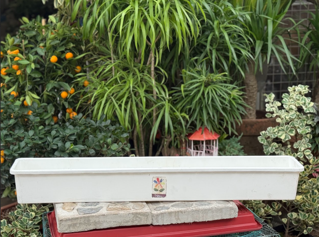 Long Rectangular Plastic Planter