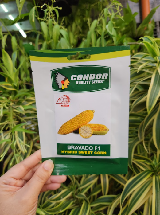 Bravado F1 Hybrid Sweet Corn Seeds