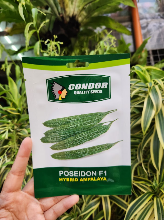Poseidon F1 Hybrid Ampalaya Seeds