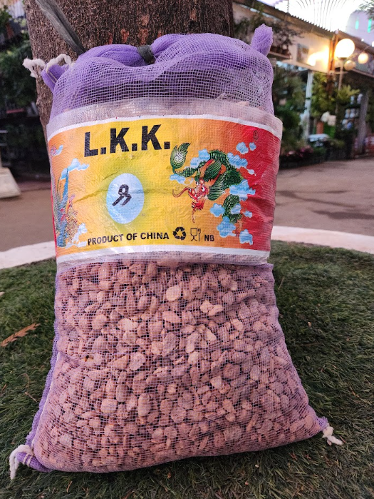 Pumice Stone for Succulents and Ornamental Plants