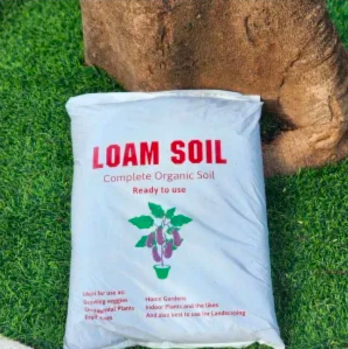 Loam Soil - Organic Blend