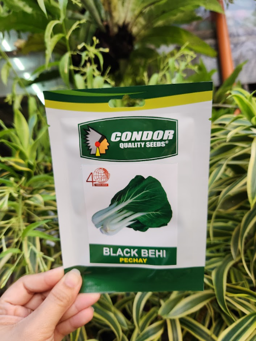 Black Behi Pechay Seeds