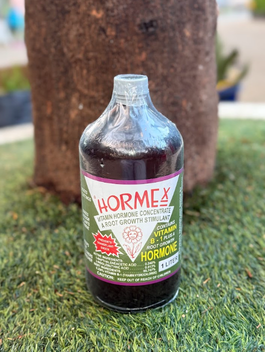 Hormex Rooting Hormone Concentrate