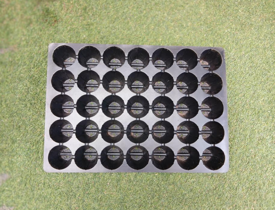 Seedling Starter Tray