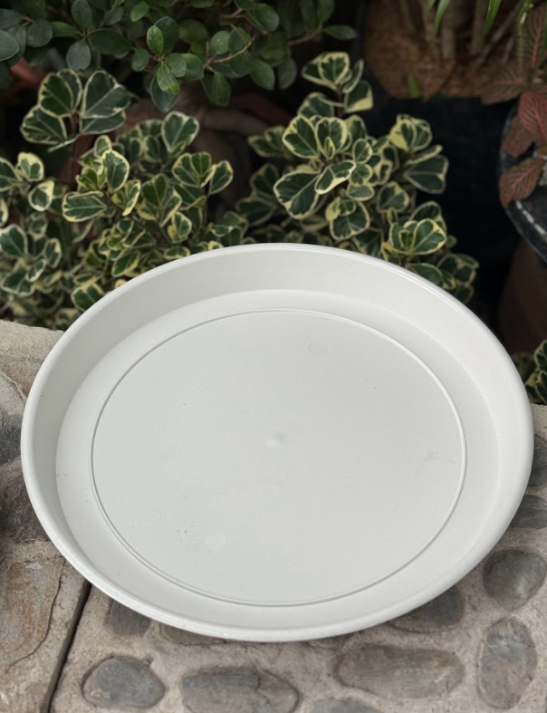 Plant Pot Saucer Tray