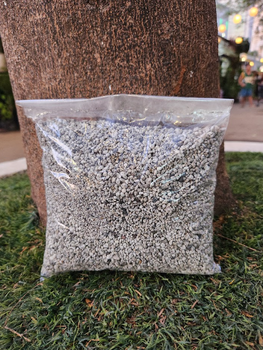 Pumice Stone Granules