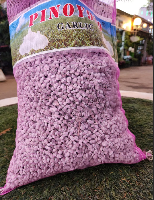 Pumice Stone for Succulents and Ornamental Plants