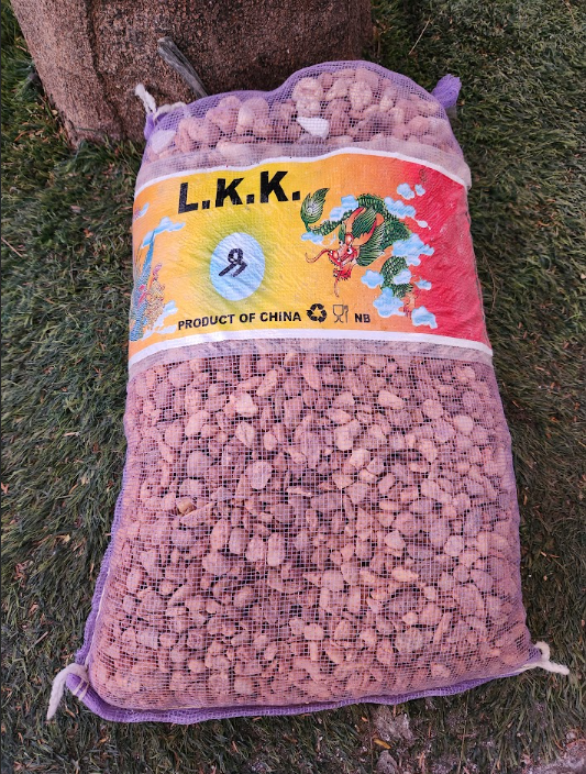 Pumice Stone for Succulents and Ornamental Plants