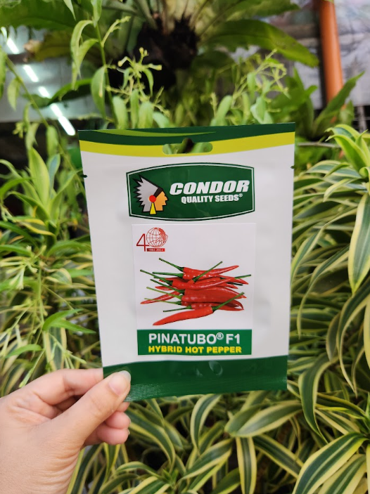 Pinatubo F1 Hybrid Hot Pepper Seeds