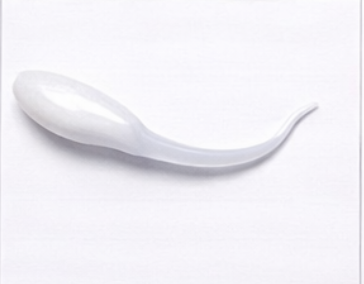 Casper White - 1 Dozen