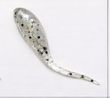 Money Milk LIGHT BLUE - 1 Dozen