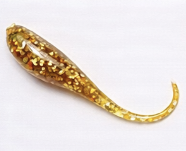 Gold Nugget - 1 Dozen