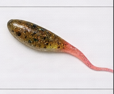 Pumpkin Seed Pink - 1 Dozen