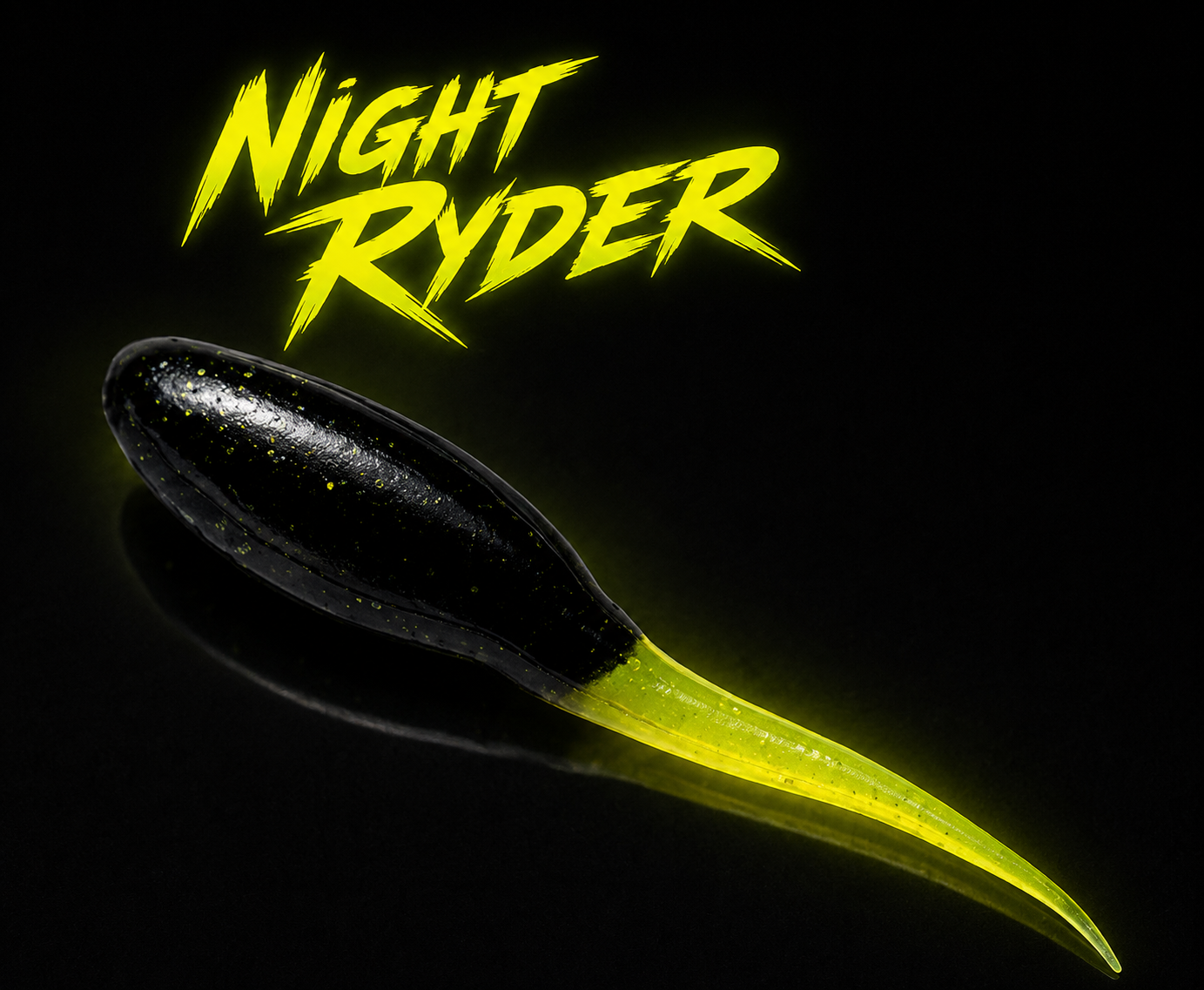 Night Rider - 1 Dozen