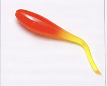 Early Morning - 1 Dozen