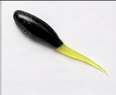 Night Rider - 1 Dozen