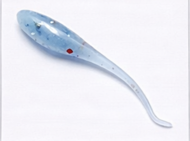 Blue Frost 2" - Dozen