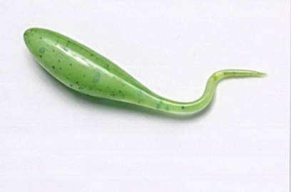 Avocado Shine 2" - Dozen