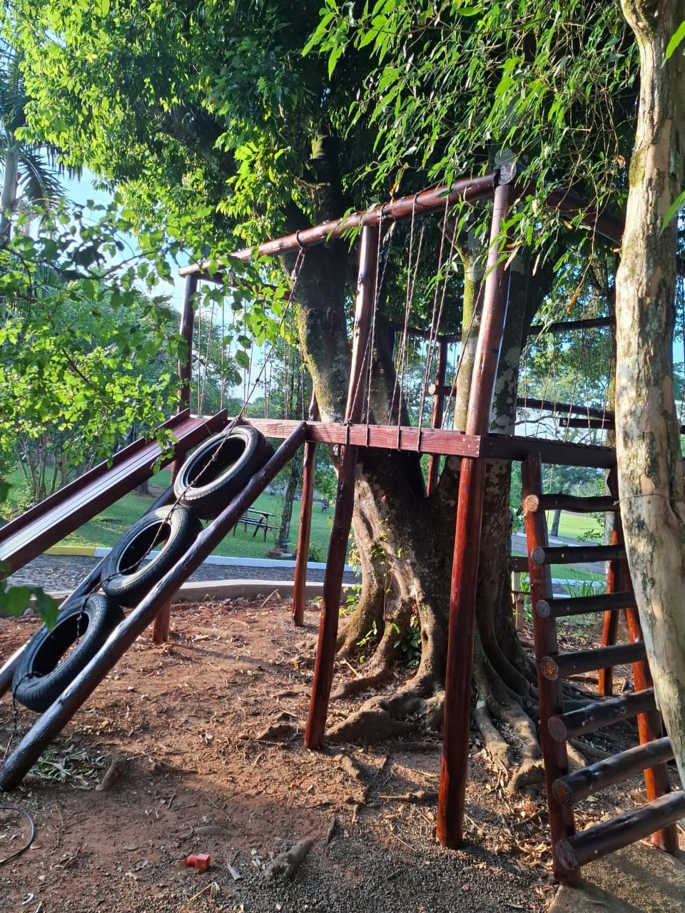 Casa na Árvore de Madeira playground rústico