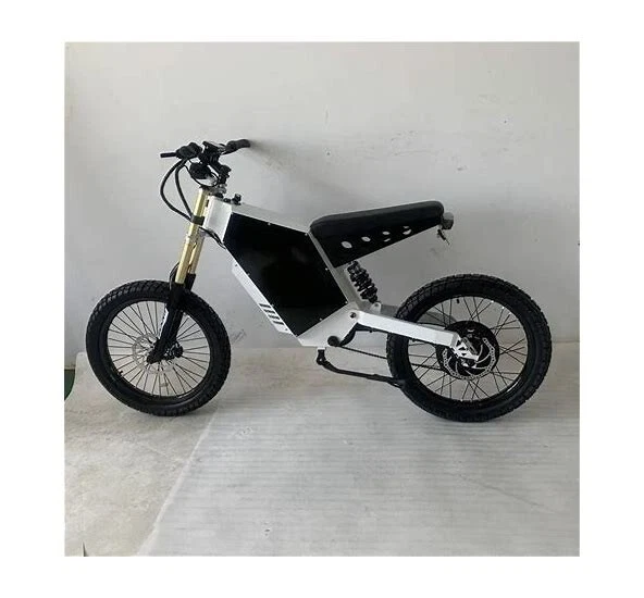 Daniel's Enduro Ebike